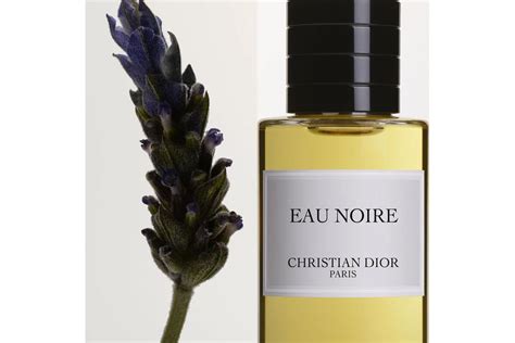 eau noire dior price